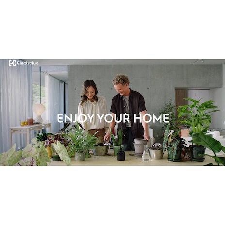 Well Q7P 無線吸塵器 (流沙金)