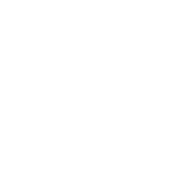 6.8 CASR