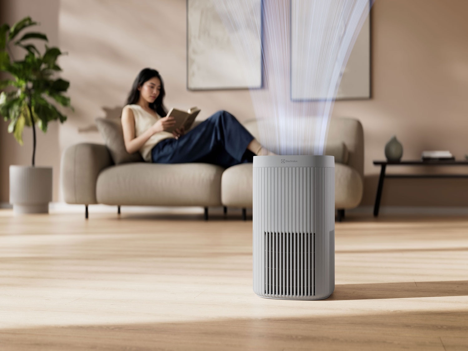 indoor-air-img-3.jpg