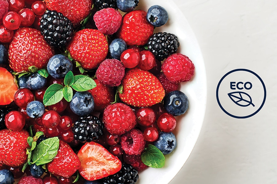 優化冷凍櫃效能