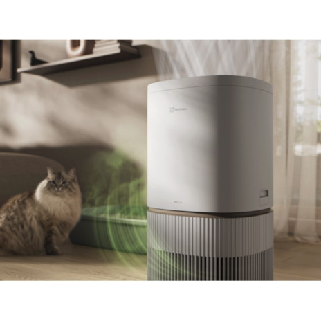 去除高達99%寵物家庭常見異味,讓家裡空氣更清新